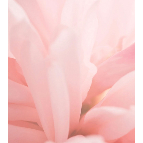 Maria Orbai – Rouge im Balsam Tinted Cheek Balm - Blushed