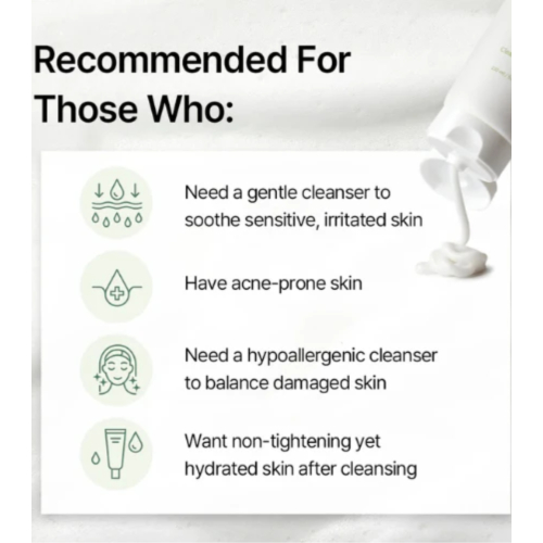 Mixsoon - Centella Asiatica schäumender Gesichtsreiniger