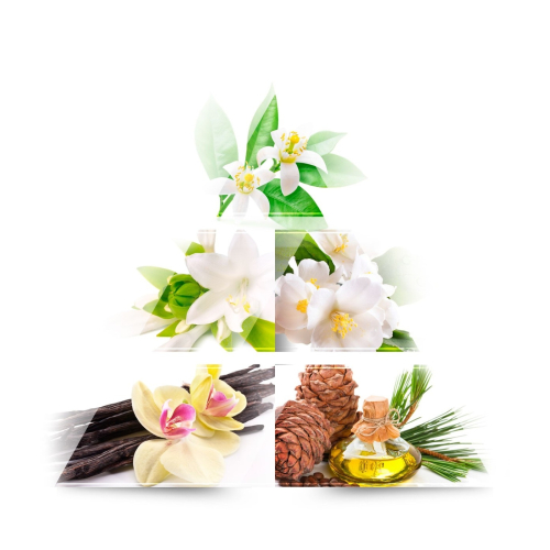 ONE AVENUE – Eau de parfum – Magnolia