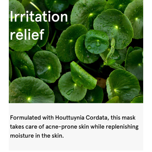 One Thing - Beruhigende Gesichtsmaske Houttuynia Cordata