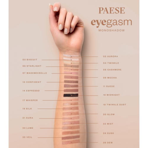 Paese Cosmetics - Lidschatten Eyegasm - 22: Mist