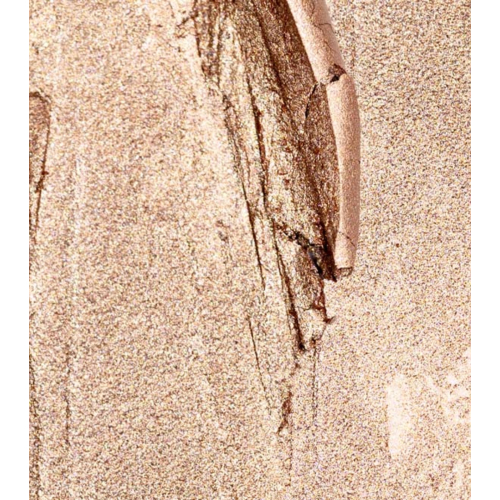 Palladio - Lidschattenstift - 02: Champagne Shimmer