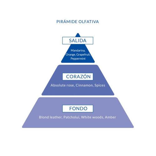 Poseidon - Eau de Toilette für Männer 150ml - Gold