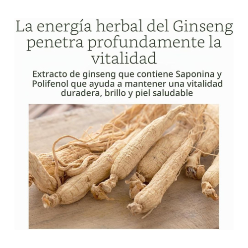 Pyunkang Yul - Konzentrierte Augencreme