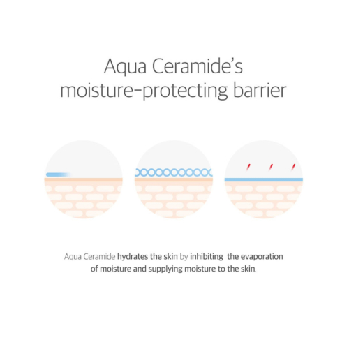 Round Lab - 365 Beruhigender Sonnenschutz Derma Relief SPF 50+ PA++++