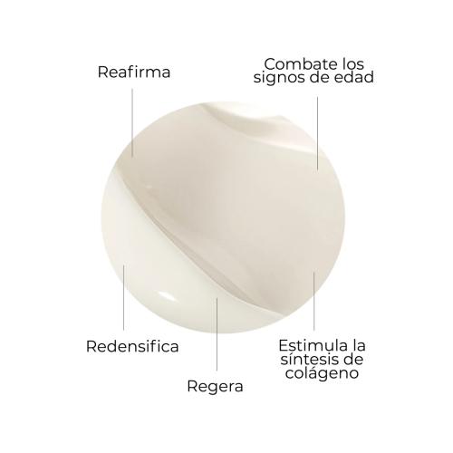 SEGLE - Anti-Aging-Gesichtscreme Cellular Plus