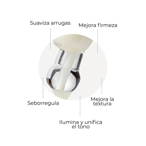 SEGLE - Anti-Aging-Paket Well Aging Set