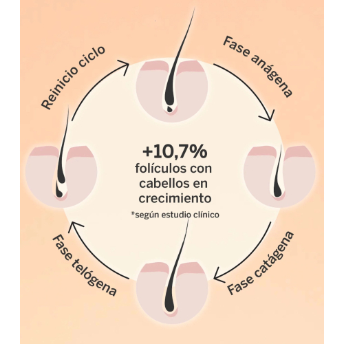 SEGLE - Haarserum Revival & Density