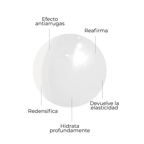 SEGLE - Anti-Aging-Gesichtsserum Cellular Plus