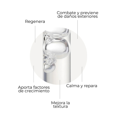 SEGLE – Regenerierendes Anti-Aging-Gesichtsserum Skin Factor – Empfindliche Haut