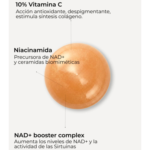 SEGLE – Antioxidatives Gesichtsserum Antiox NAD+