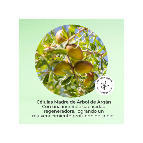 SEGLE - Gesichtsserum Cellular Plus