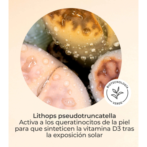 SEGLE – Vitamin-D-Gesichtsserum Urban SPF30