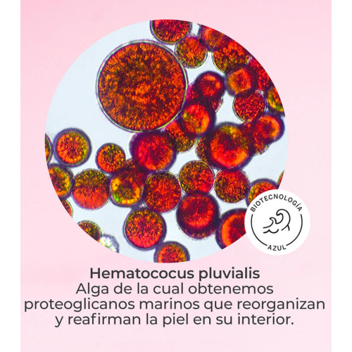 SEGLE - Gesichtsserum-Effekt flash lifting DMAE LIFT 10