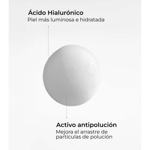 SEGLE - Set mit 2 feuchtigkeitsspendenden, Anti-Pollution-Reinigungsschäumen