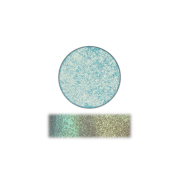 The Pastel Roses - Duochrome Single Eyeshadow - Seashell