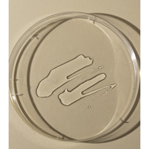 Toun 28 – Gesichtswasser Propolis Balance Toner