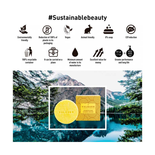 Valquer - Festsäure-Shampoo - Zitronen- und Zimtextrakt