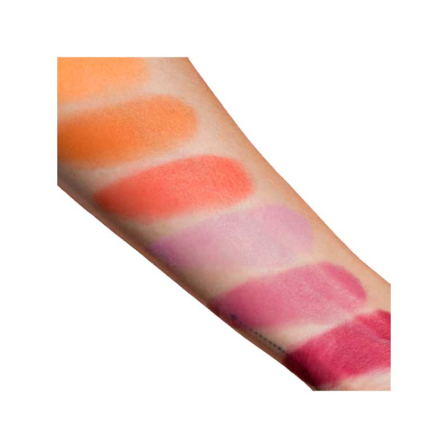 Viseart - Powder Blush Palette - VBL02: Rose/Coral