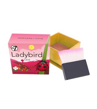 W7 - Powder Rouge The Boxed Blusher - Ladybird lane