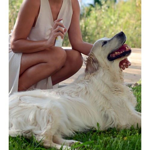 Wailoha - *Maldito Perro Sensual* - Haustierkolonie Ríos de Aventuras