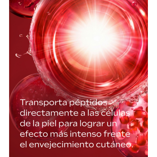 Weleda - *Lifting* - Gesichtsserum EXO Boost Night Restoring Elixir